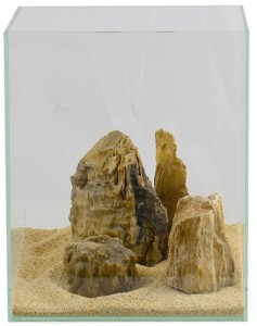 木化石レイアウト2